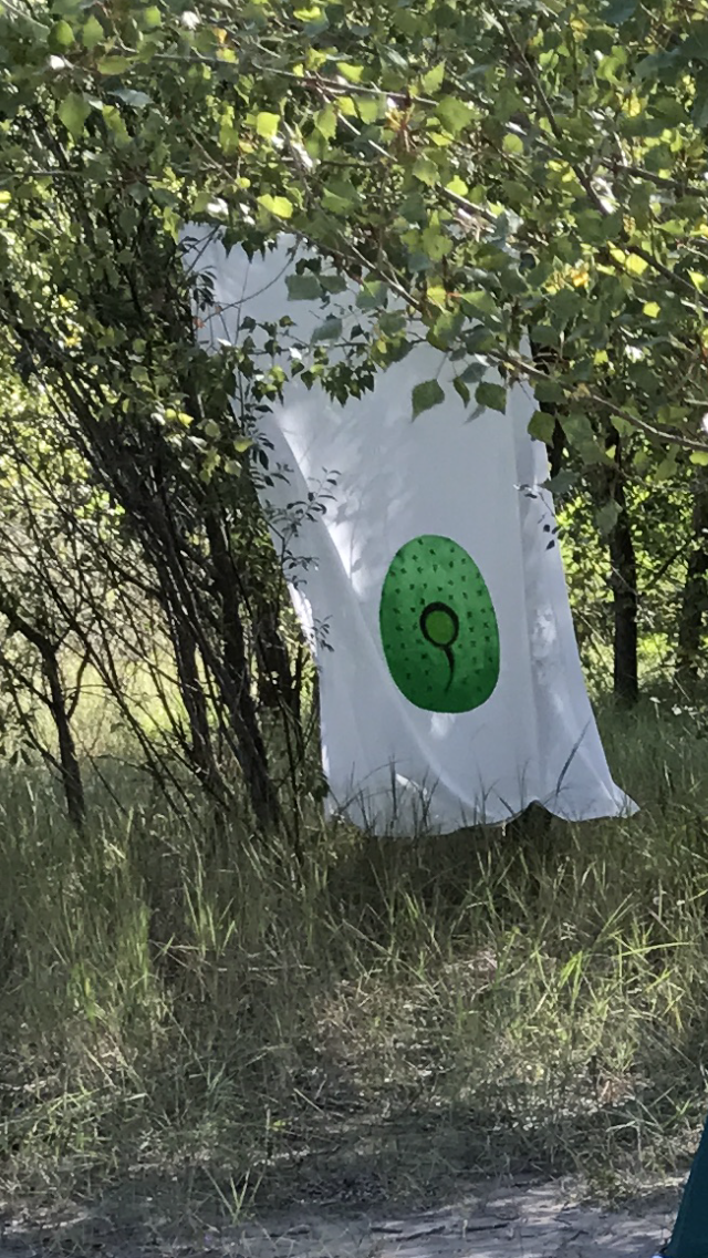 IMG_5711-30-11-17-04-43